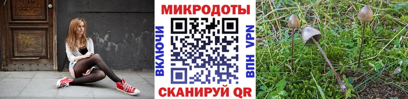 Купить закладки  Миллерово  Псилоцибиновые грибы Psilocybe 